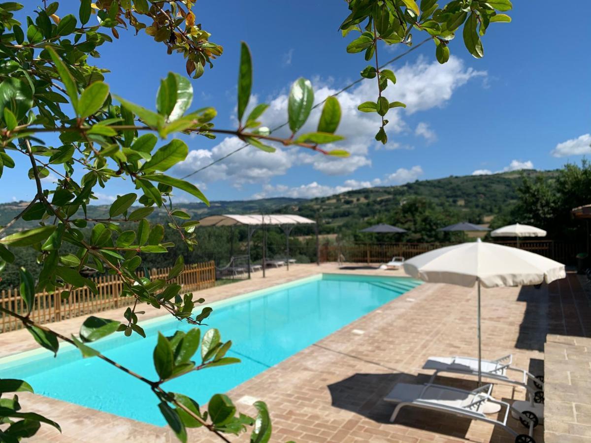 Agriturismo La Palazzetta Di Assisi Exteriér fotografie