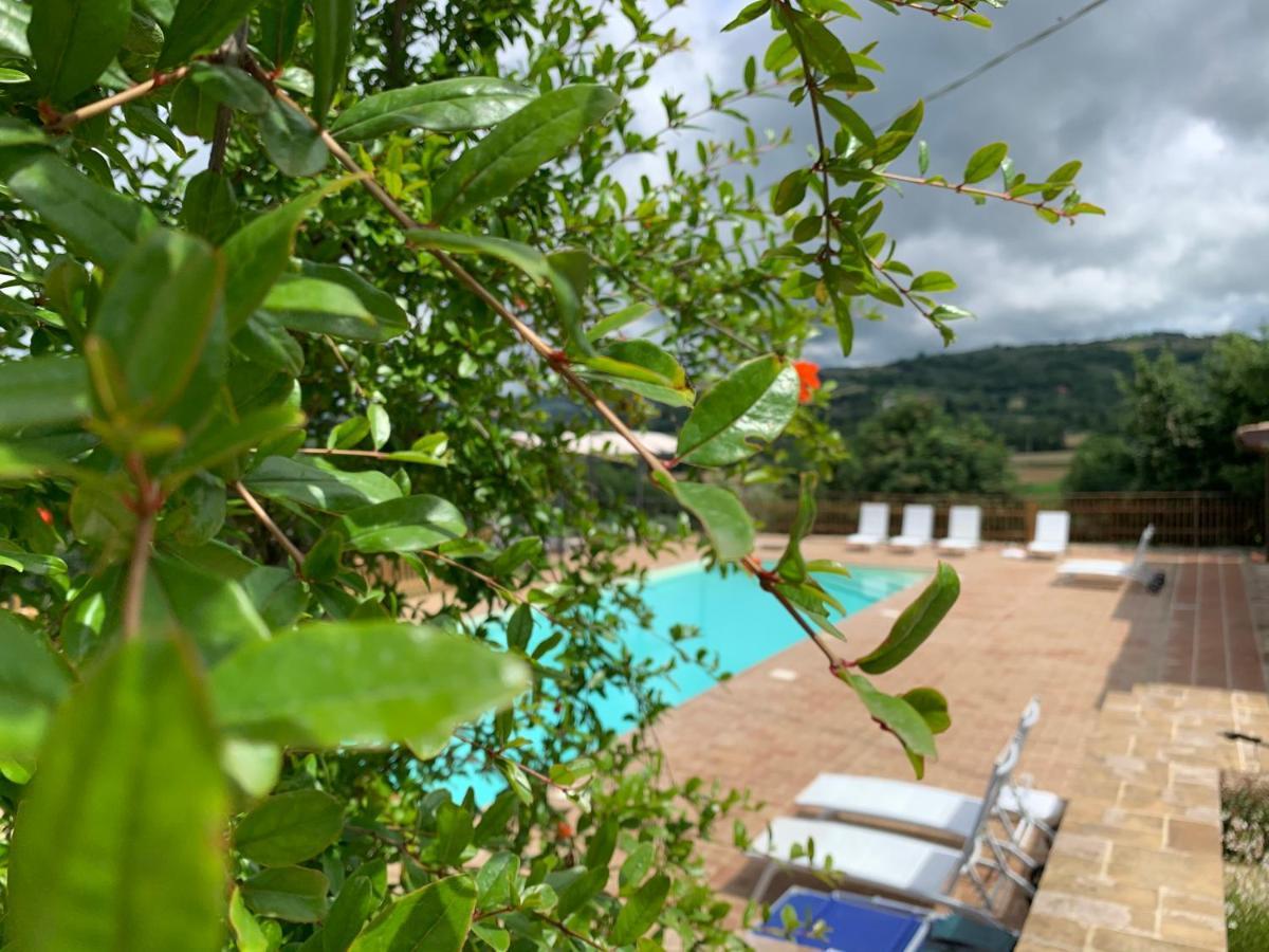 Agriturismo La Palazzetta Di Assisi Exteriér fotografie