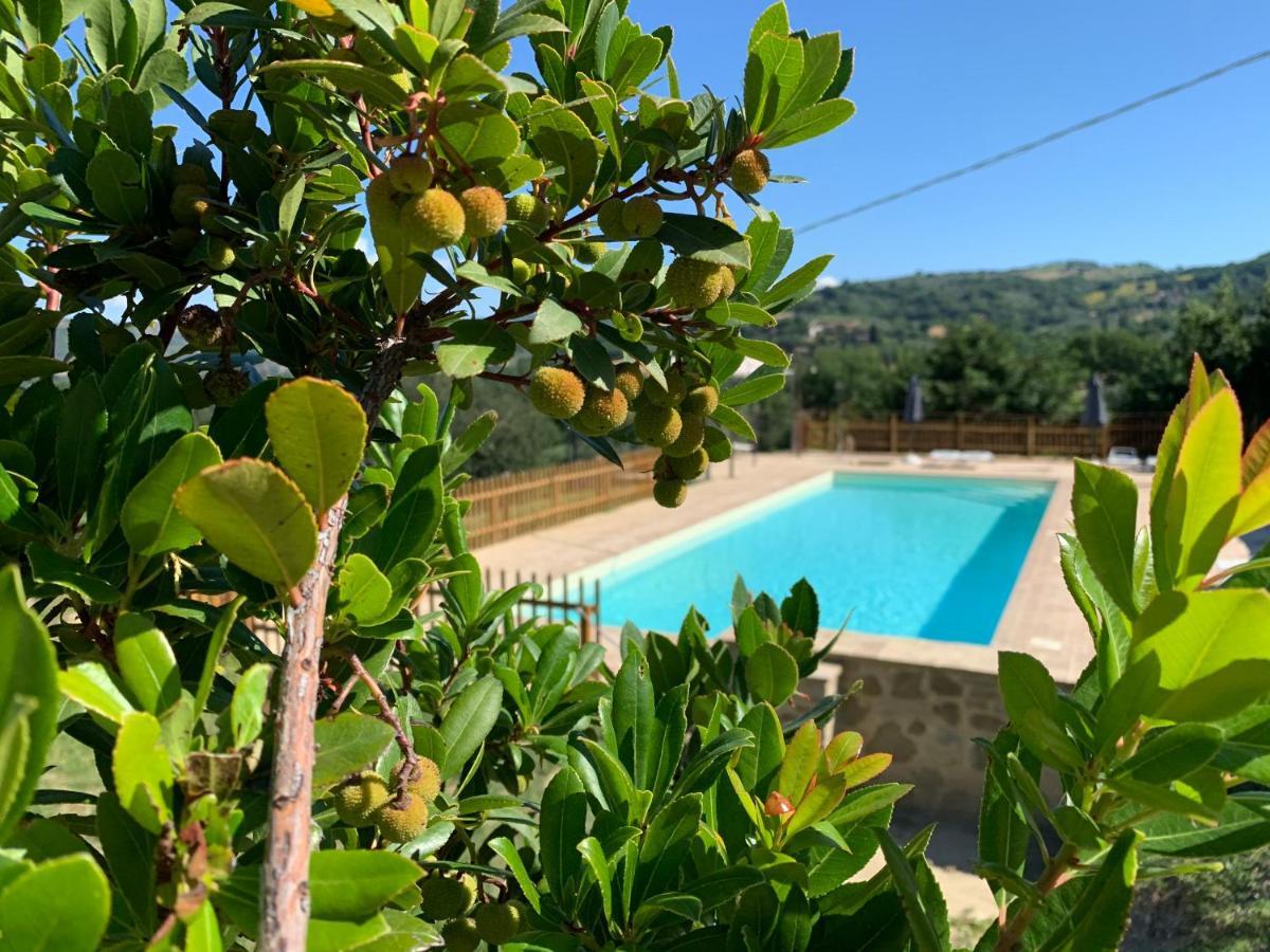 Agriturismo La Palazzetta Di Assisi Exteriér fotografie